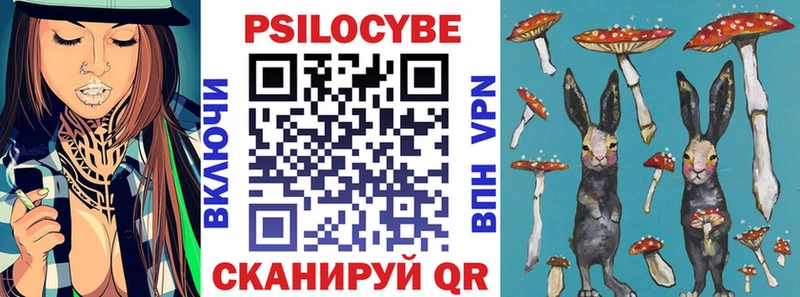 Псилоцибиновые грибы GOLDEN TEACHER  Усть-Джегута 