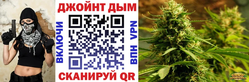 Бошки марихуана сатива  купить наркоту  Усть-Джегута 
